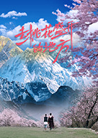 去桃花盛开的地方